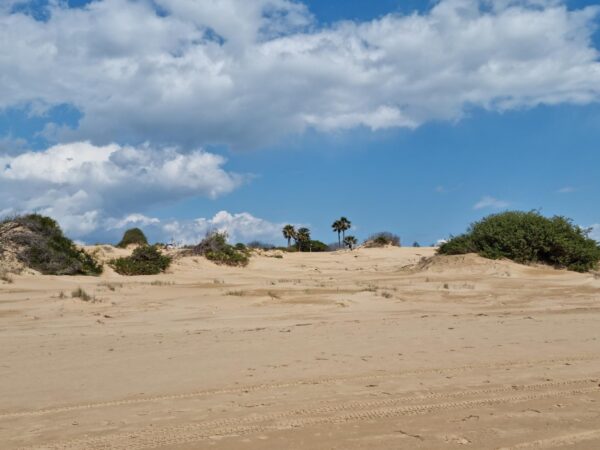 SALIDA DE OTOÑO A SICILIA - Imagen 7